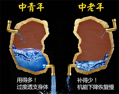 肾.jpg